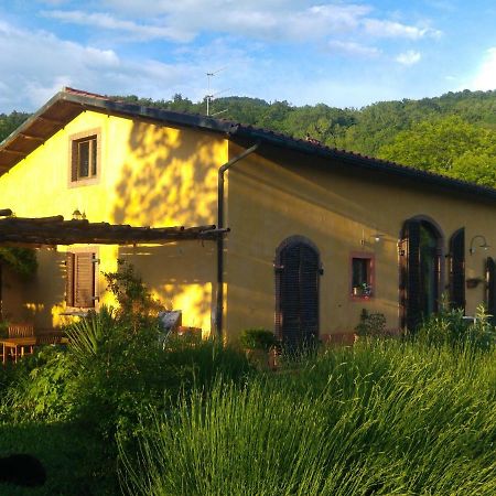 Podere Di Maggio - Casa Della Nonna Santa Fiora Kültér fotó