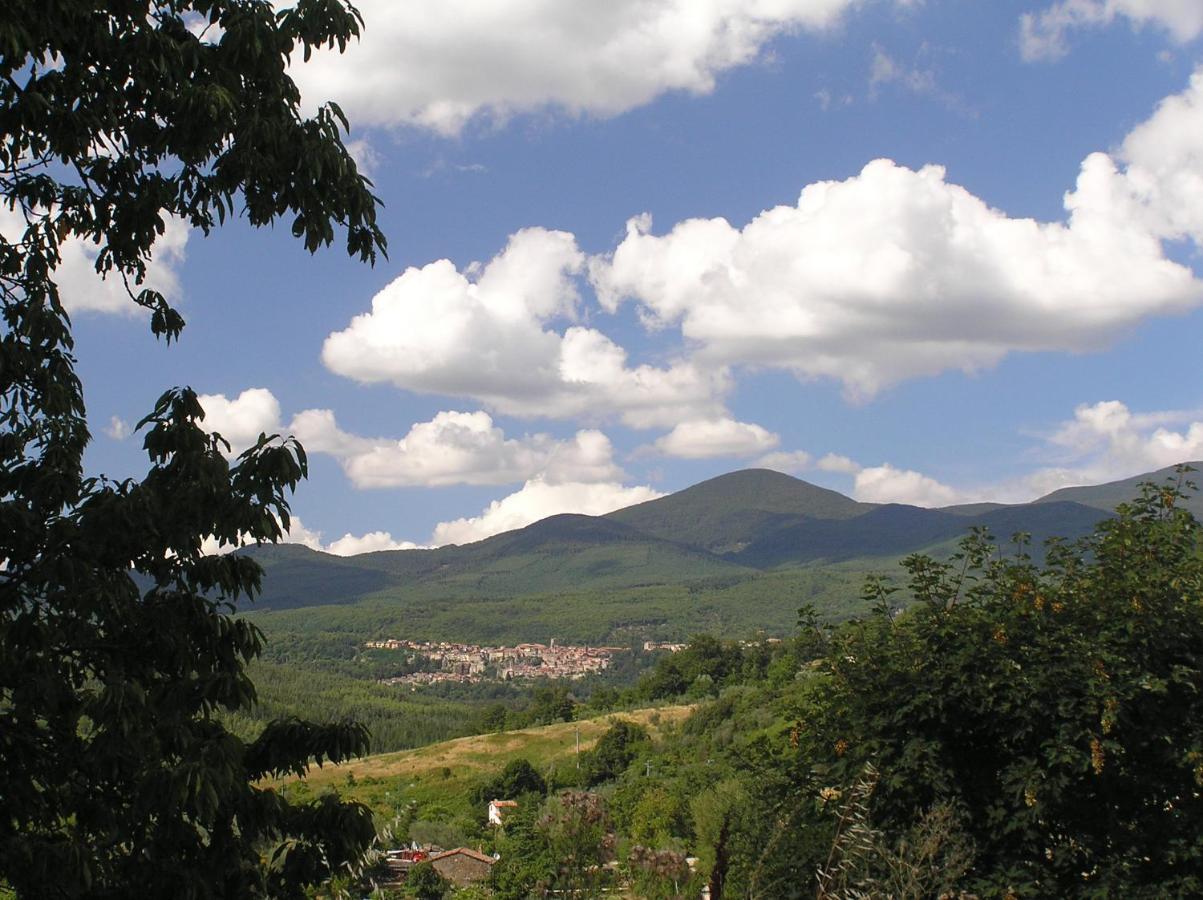 Podere Di Maggio - Casa Della Nonna Santa Fiora Kültér fotó
