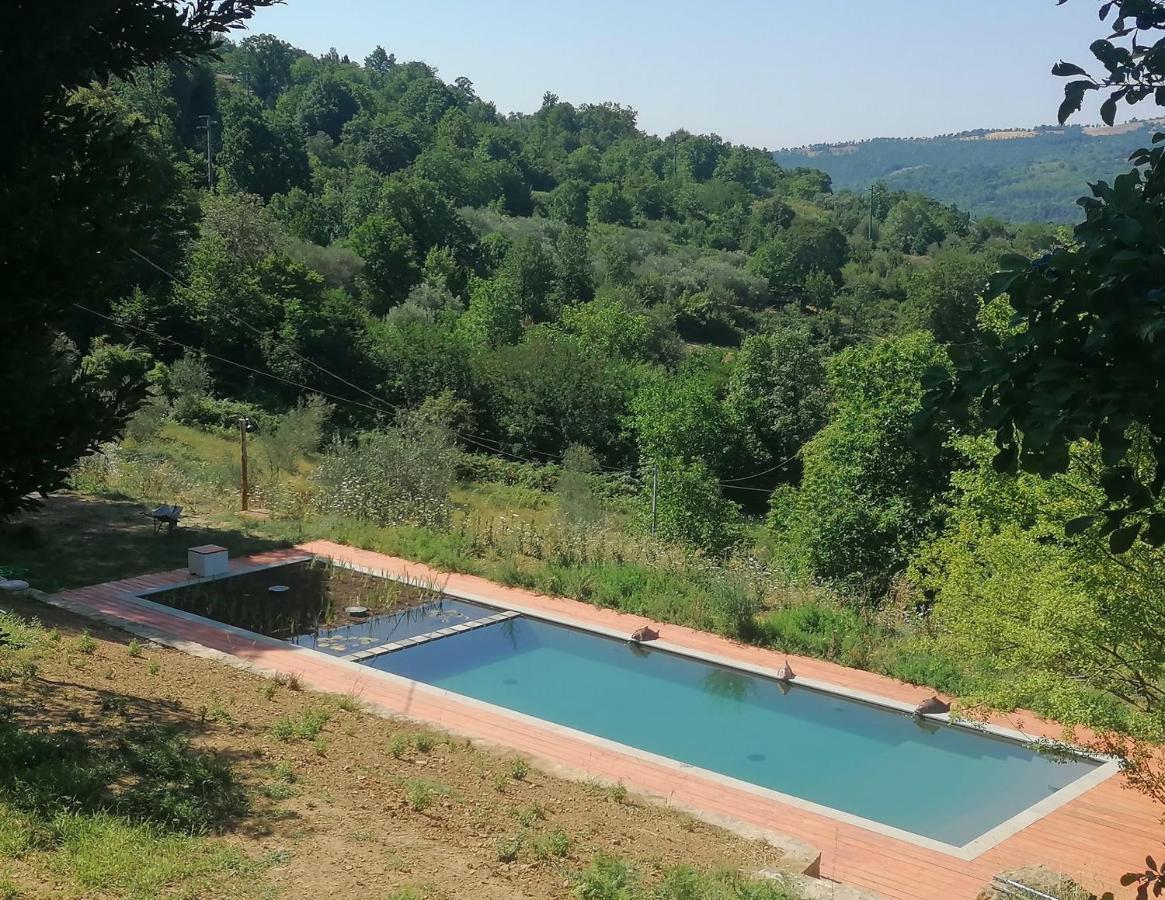 Podere Di Maggio - Casa Della Nonna Santa Fiora Kültér fotó