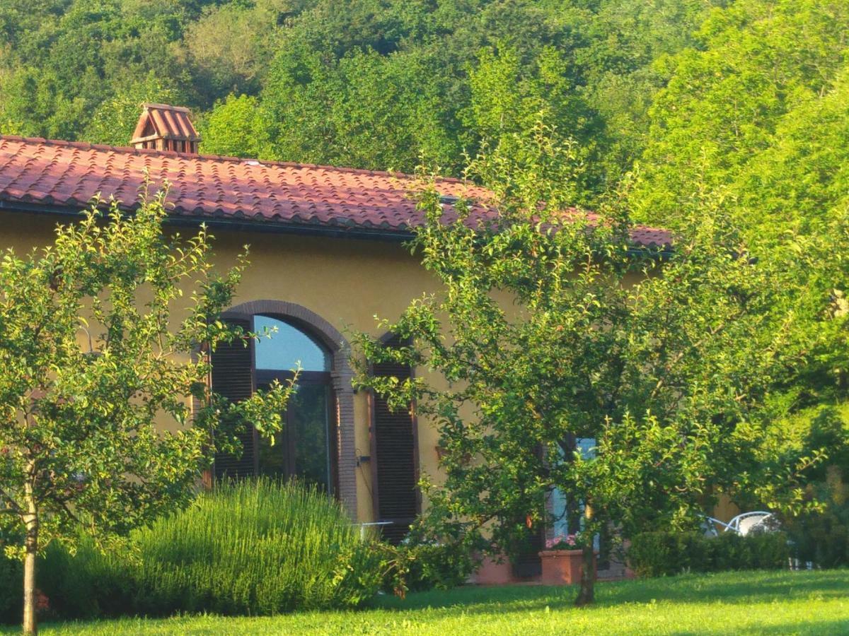Podere Di Maggio - Casa Della Nonna Santa Fiora Kültér fotó