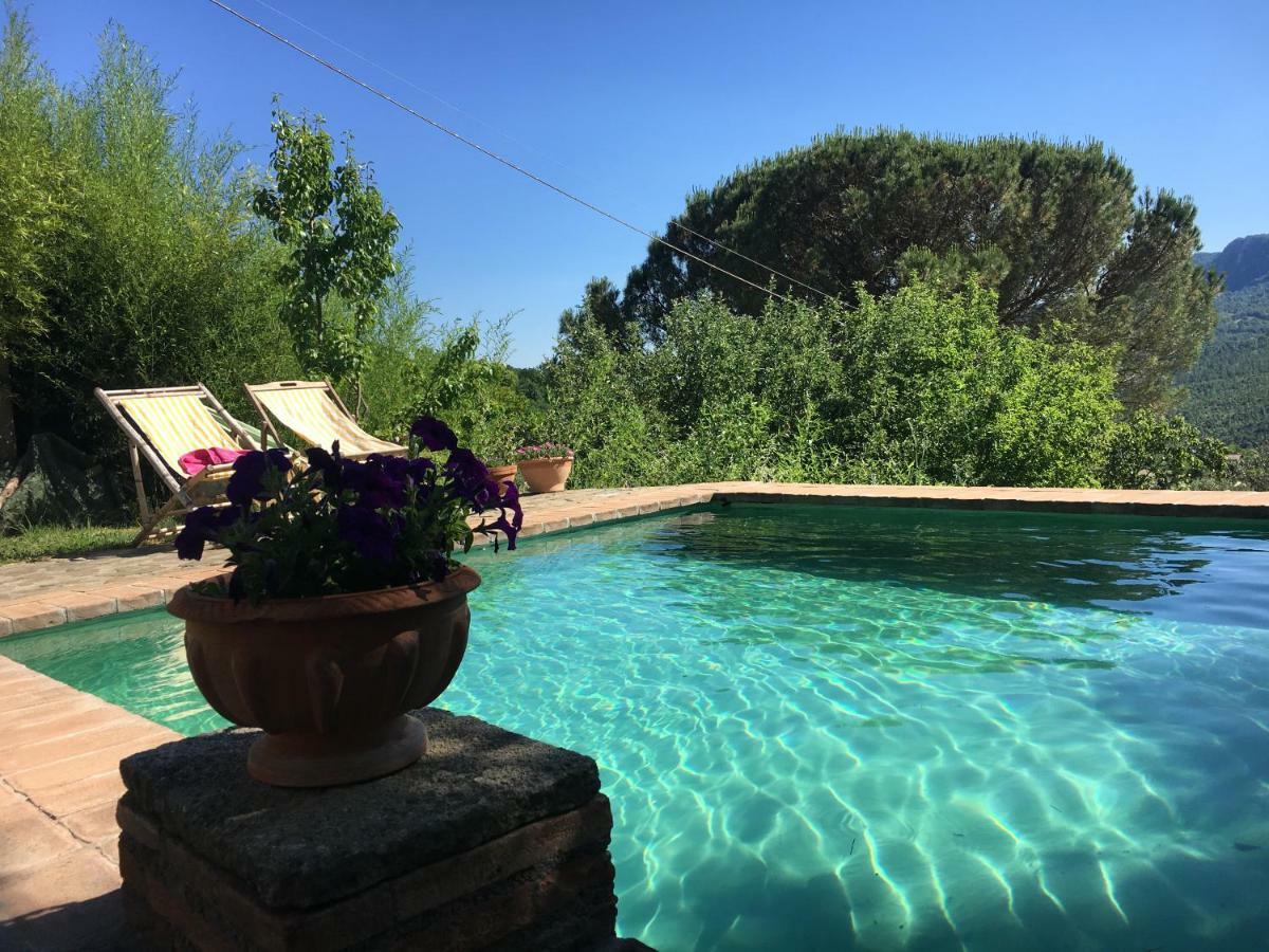 Podere Di Maggio - Casa Della Nonna Santa Fiora Kültér fotó